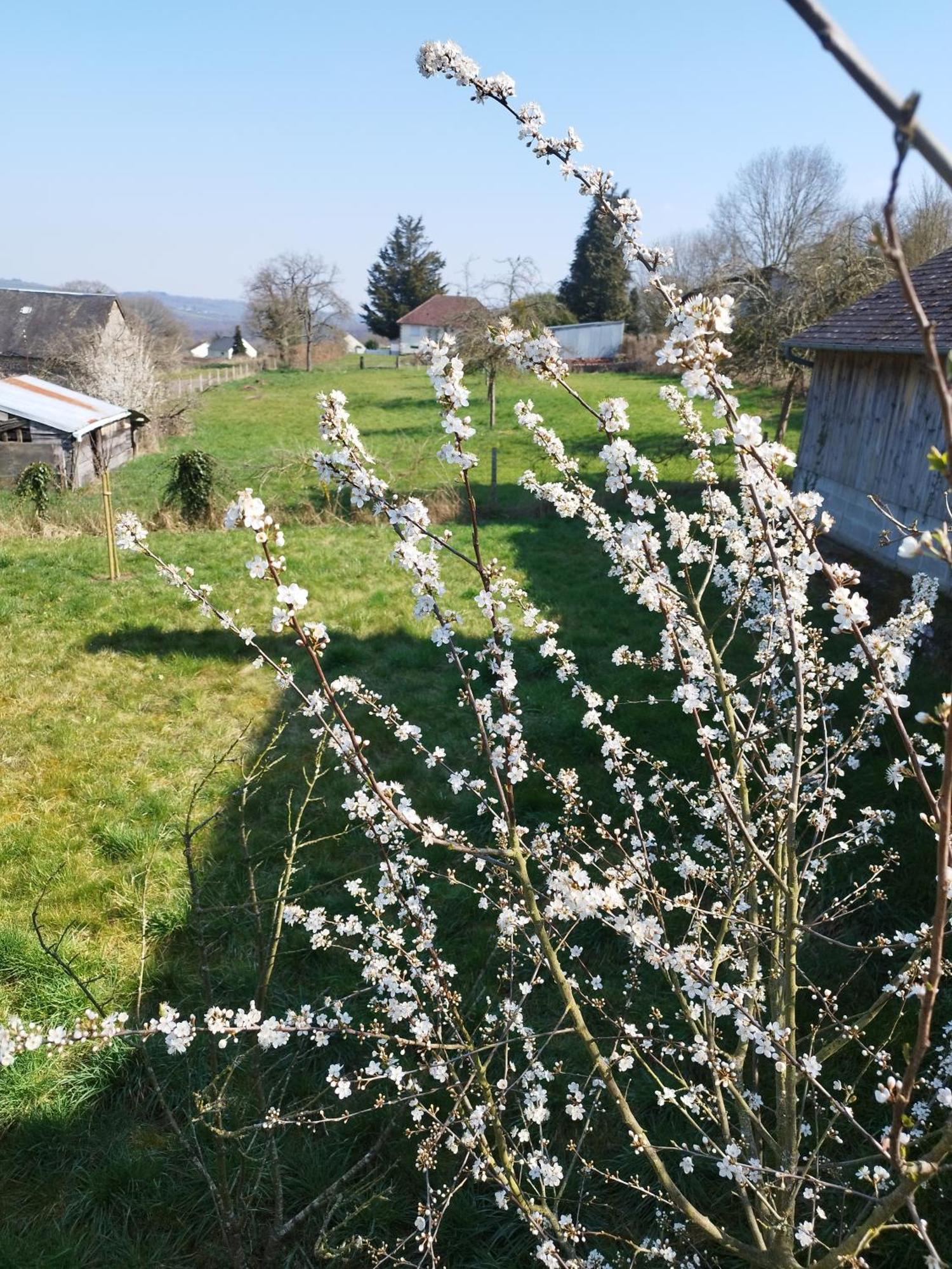 Chalet Des Roches Roche D'Oetre Suisse Normande Saint-Philbert-sur-Orne Esterno foto